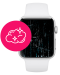 Замена или ремонт экрана Apple Watch
